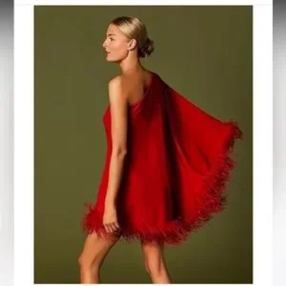 NWT Antonio Melani Cosima One Sleeve Asymmetrical Neckline Feather Trim Dress - Picture 5 of 10